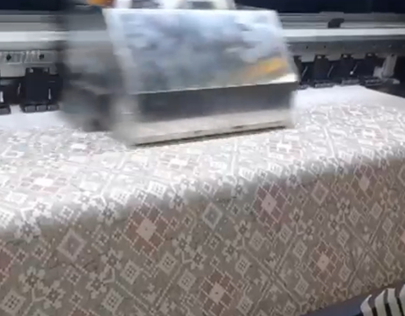 Exposición 5